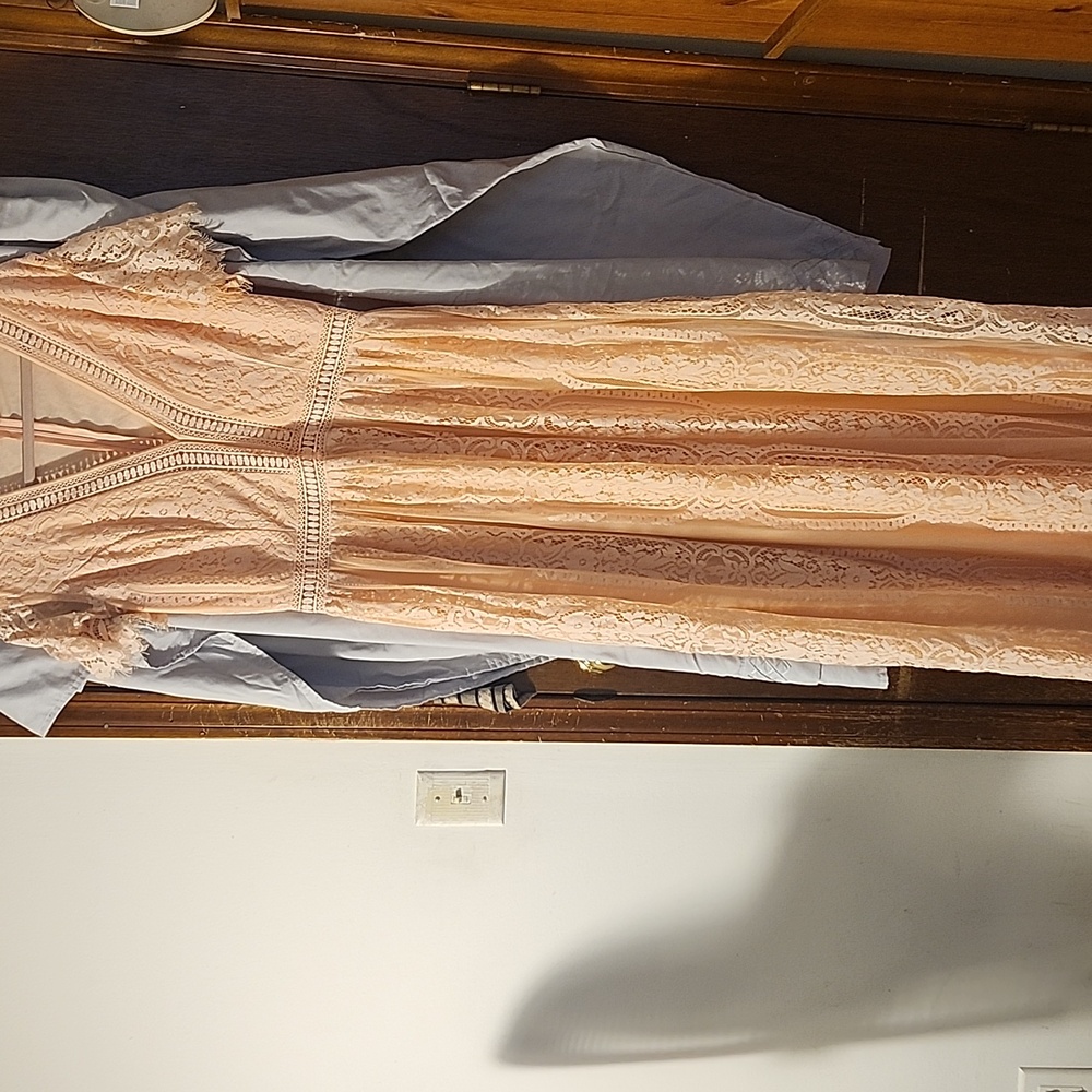 Elegant Lace Peach Dress
